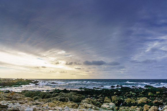 17 Mile Drive