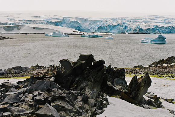Torgerson Island